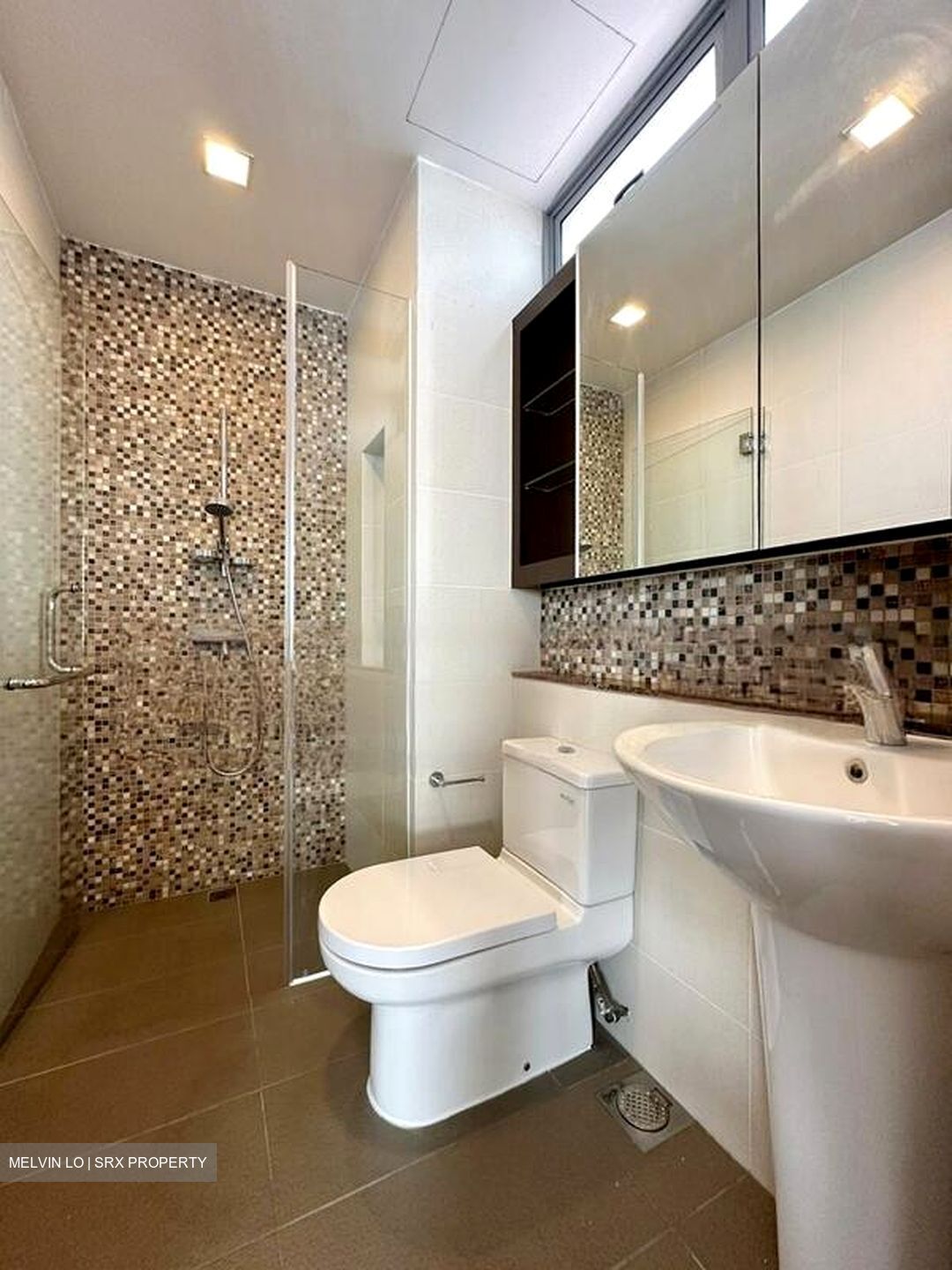Radiance @ Bukit Timah (D21), Terrace #507439541